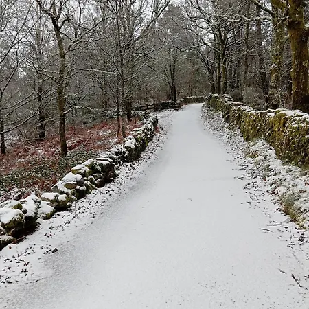 Casaesquerda Cinza Dom wakacyjny Vieira do Minho
