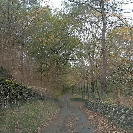 Casaesquerda Cinza *