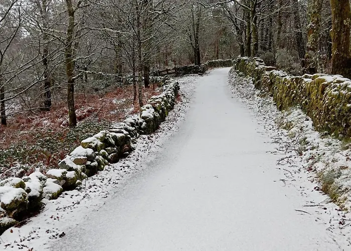 Casaesquerda Cinza Nyaraló Vieira do Minho